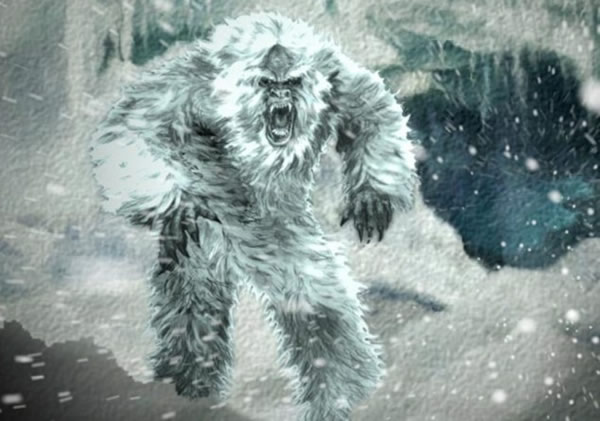 喜马拉雅山雪人毛发DNA检验结果发现可能是棕熊和古代北极熊的混种
