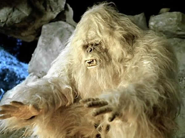 喜马拉雅山雪人毛发DNA检验结果发现可能是棕熊和古代北极熊的混种
