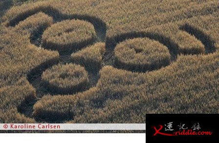 麦田怪圈