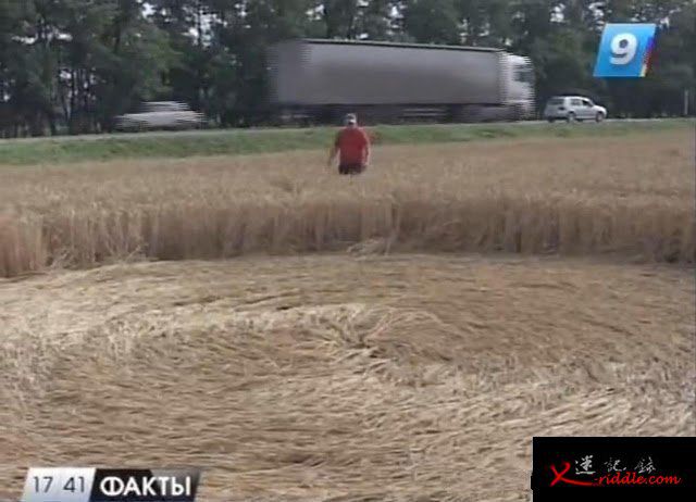 俄罗斯麦田怪圈