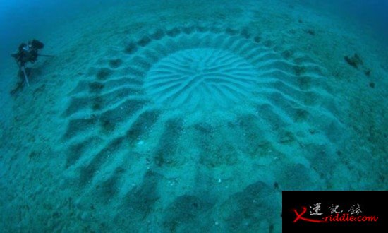 日本海底麦田怪圈
