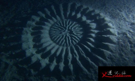 日本海底怪圈