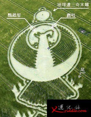 麦田怪圈