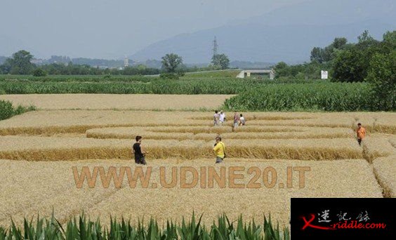 2012年6月30日意大利麦田怪圈