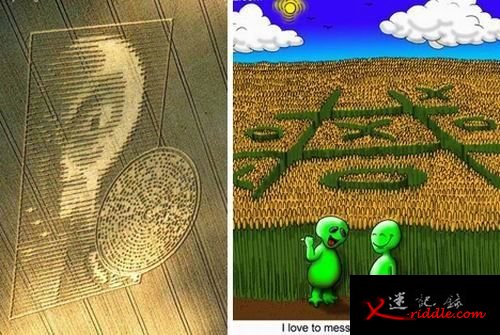 麦田怪圈持续4个世纪：外星人向地球发信息？