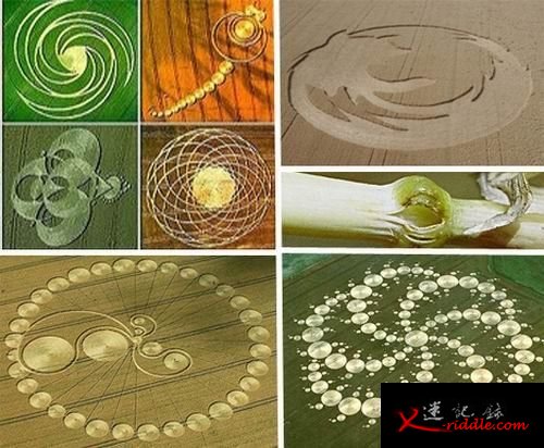 麦田怪圈持续4个世纪：外星人向地球发信息？