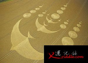 俄再现神秘麦田怪圈 人为所致还是自然现象