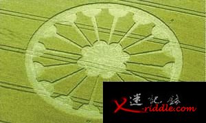 俄再现神秘麦田怪圈人为所致还是自然现象