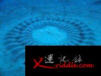 海底怪圈