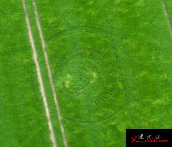 6.23日麦田怪圈