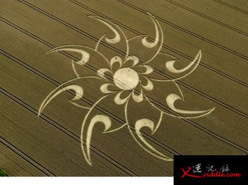 麦田圈是设计图，让我们制造UFO？