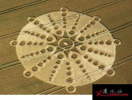 麦田圈是设计图，让我们制造UFO？
