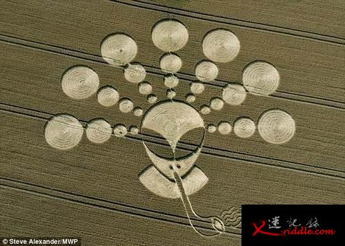 外星人杰作 神秘“麦田怪圈”或许并不遥远