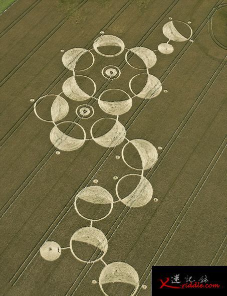 谁制造了麦田怪圈 微波炉成重要工具