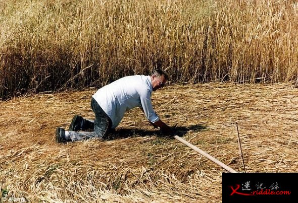 谁制造了麦田怪圈 微波炉成重要工具