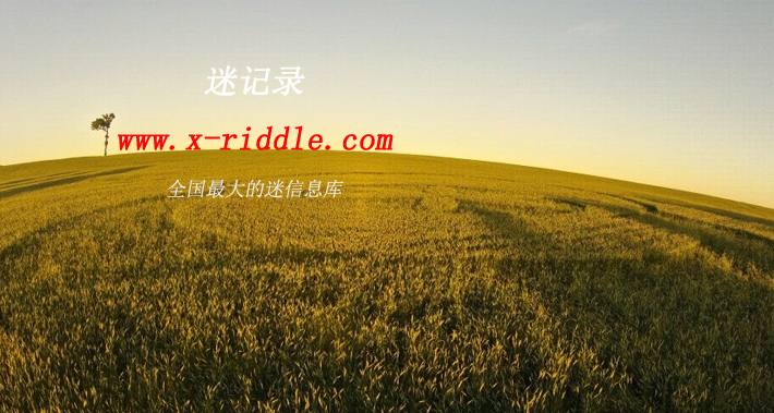 迷记录