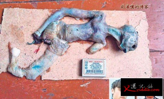 外星人未解之谜：神秘生物全是骗局