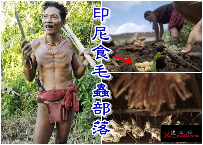 沙尼亚戈姆拍下Mentawai族人生活百态