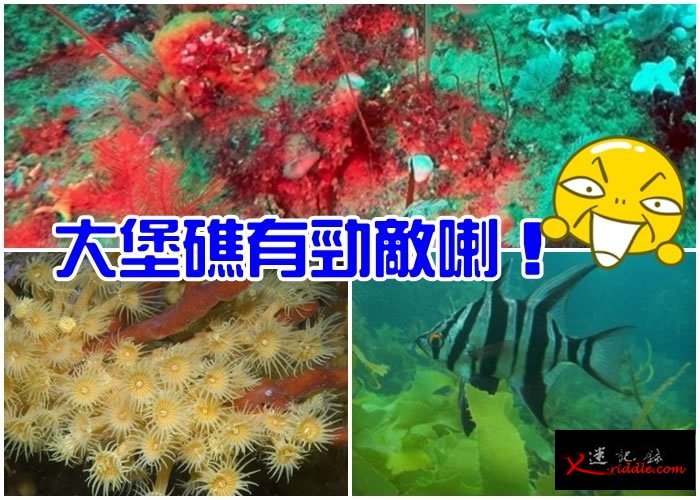 威尔森岬国家公园百米深的水底，有一个深海珊瑚礁。