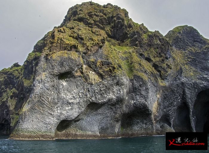 冰岛韦斯特曼纳火山群岛中最大的赫马岛岸边：巨大“大象”趴在蔚蓝海里喝水