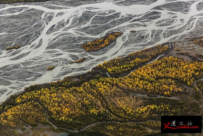 美国德纳利国家公园Denali National Park