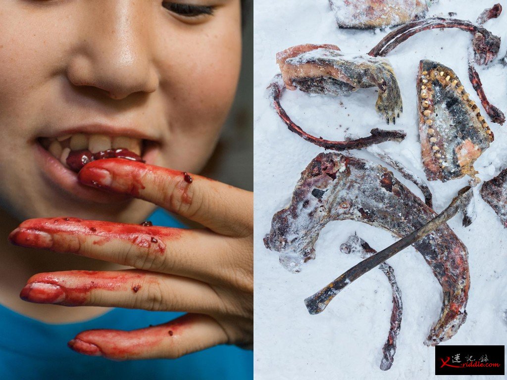 一名因纽特女孩拿一小块海豹肝喂她弟弟（左），那隻海豹是他们的父亲刚捕捉到的猎物。没有马上吃掉的部分会留在户外的棚子裡继续冰冻；一个家庭的「冷冻库」（上）裡放著一