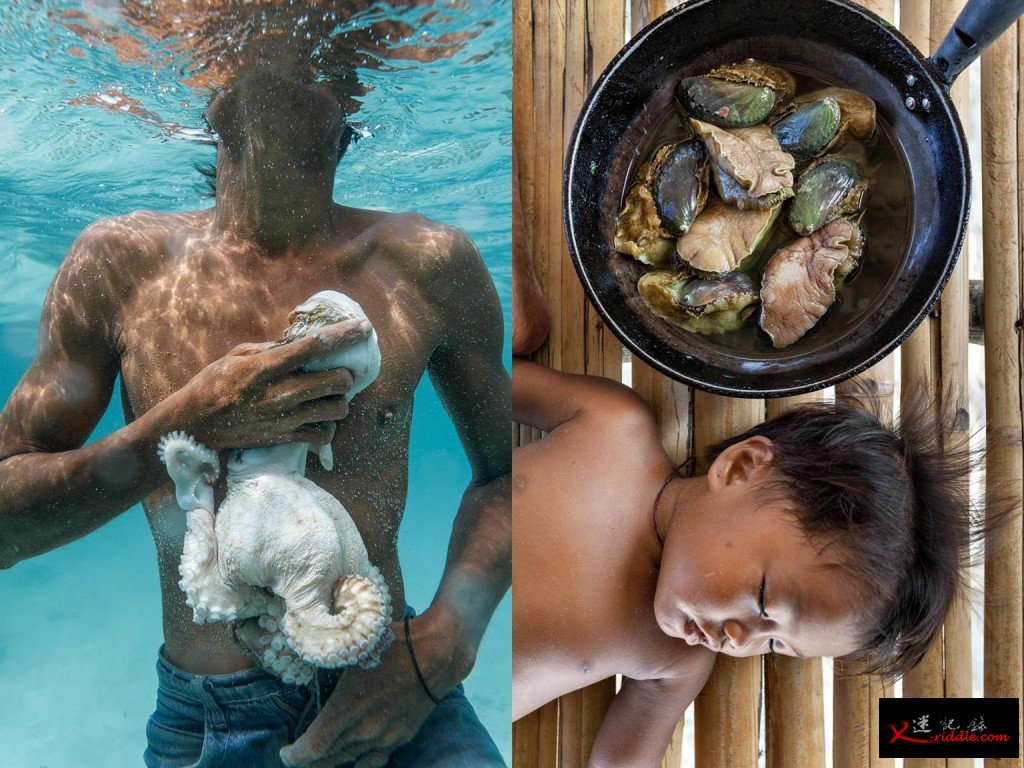 一名巴瑶族鱼夫从船上潜入海中，上来时手中抓著一隻他叉到的章鱼。除了一种用树薯泥做成的菜餚以外，巴瑶族的食物全部来自海洋。一个巴瑶族婴儿（右）在一锅鲍鱼旁小睡，这