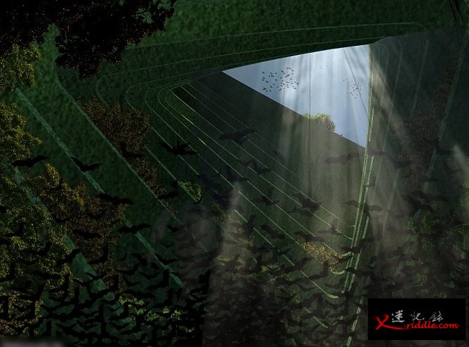 “绿色巨塔”是由一层层植物群叠成。
