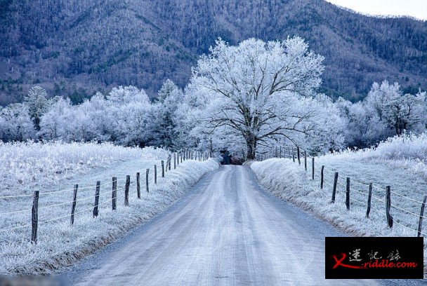 田纳西州的大烟山国家公园，雪景美得让人屏息。