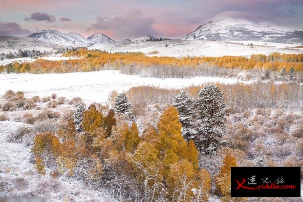 加州的优胜美地国家公园旁，风景同样妙不可言。