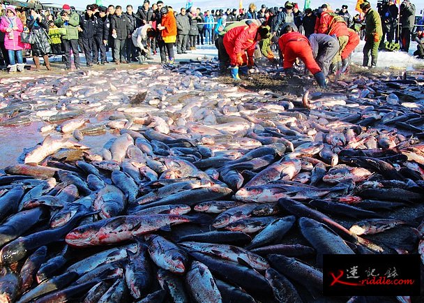 一年一度的查干湖举行传统冬季捕鱼活动今日正式拉开序幕