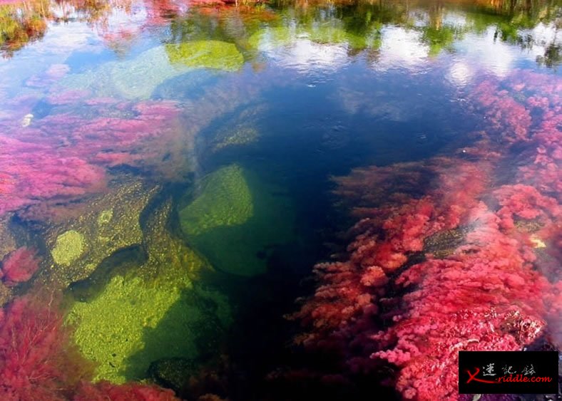 彩虹河明净清澈，水底景物一览无遗。