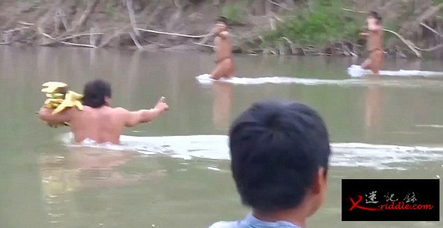 亚马逊土著人因毒贩猖獗和非法采伐被迫离开自己的部落