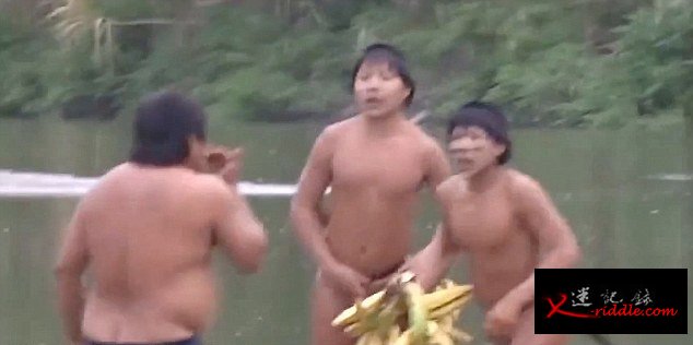 亚马逊土著人因毒贩猖獗和非法采伐被迫离开自己的部落