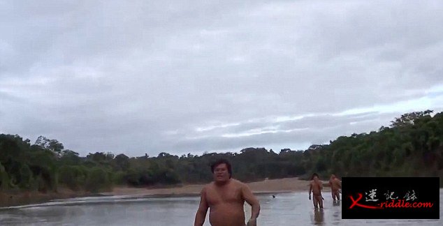 亚马逊土著人因毒贩猖獗和非法采伐被迫离开自己的部落