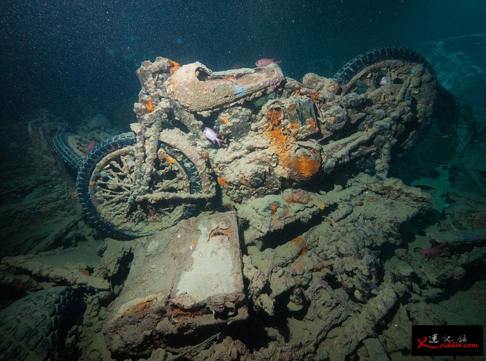 英国潜水员探访红海海底二战沉船“蓝蓟花号”(SS Thistlegorm)残骸遗址