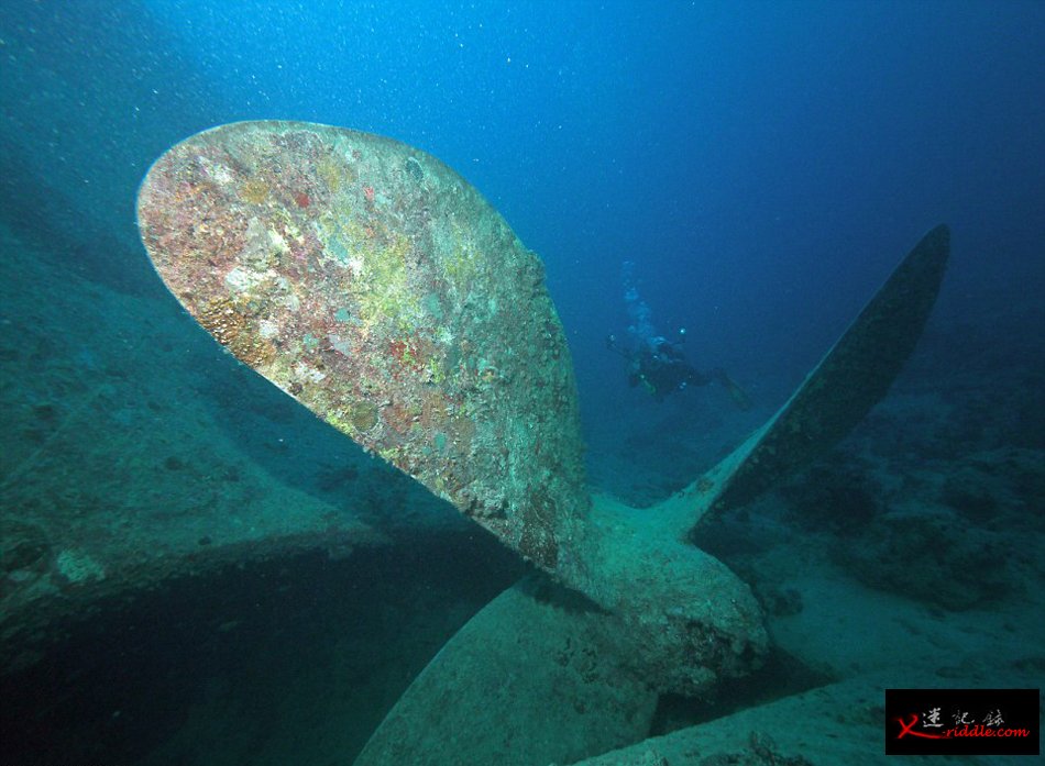 英国潜水员探访红海海底二战沉船“蓝蓟花号”(SS Thistlegorm)残骸遗址