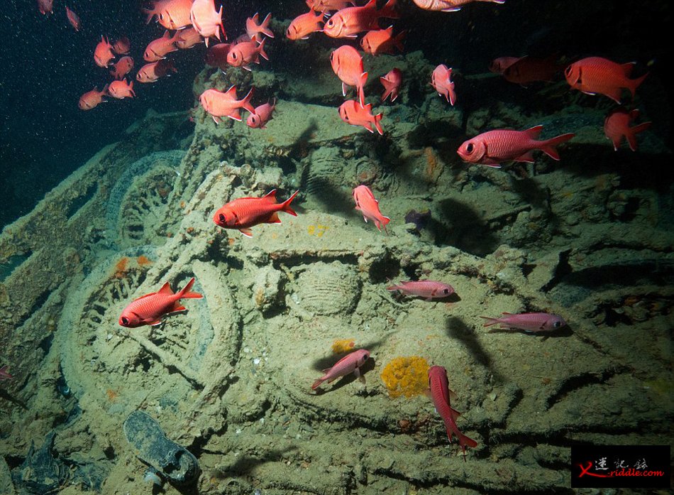 英国潜水员探访红海海底二战沉船“蓝蓟花号”(SS Thistlegorm)残骸遗址