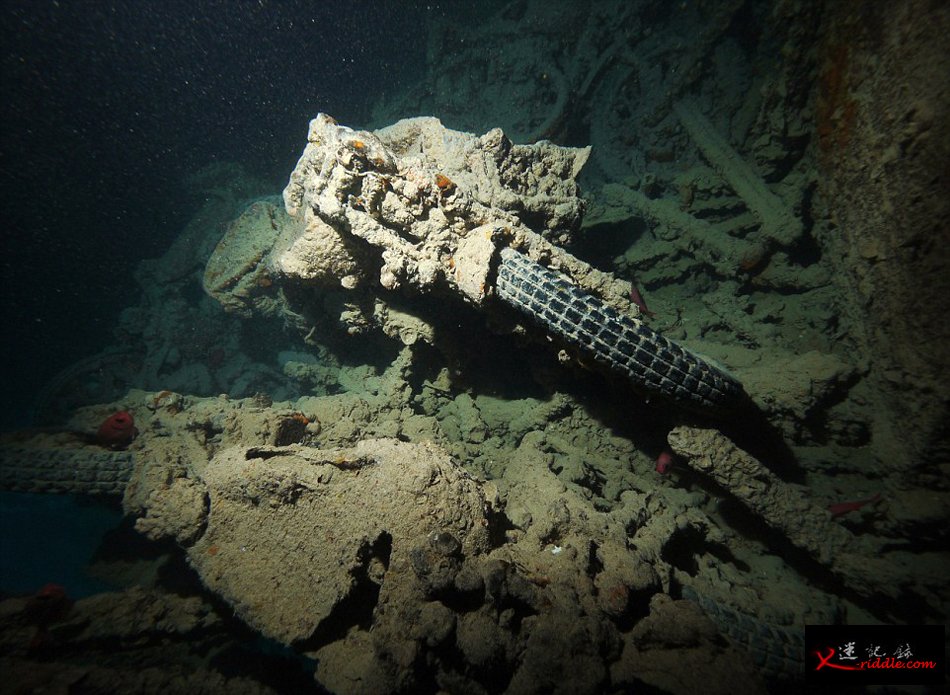 英国潜水员探访红海海底二战沉船“蓝蓟花号”(SS Thistlegorm)残骸遗址