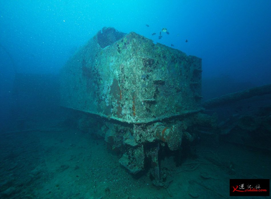 英国潜水员探访红海海底二战沉船“蓝蓟花号”(SS Thistlegorm)残骸遗址