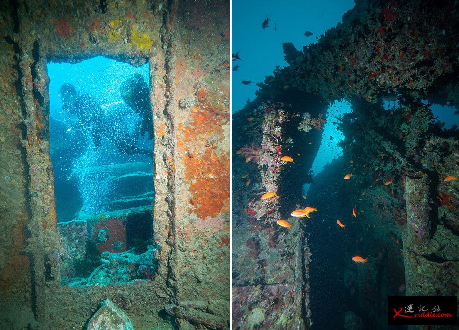 英国潜水员探访红海海底二战沉船“蓝蓟花号”(SS Thistlegorm)残骸遗址