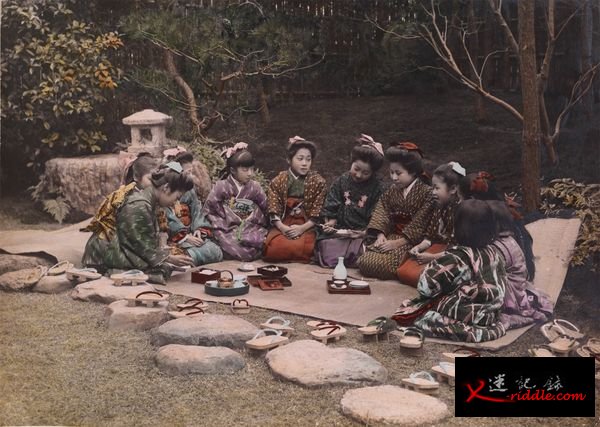 淑女的聚会