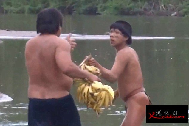 亚马逊土著人因毒贩猖獗和非法采伐被迫离开自己的部落