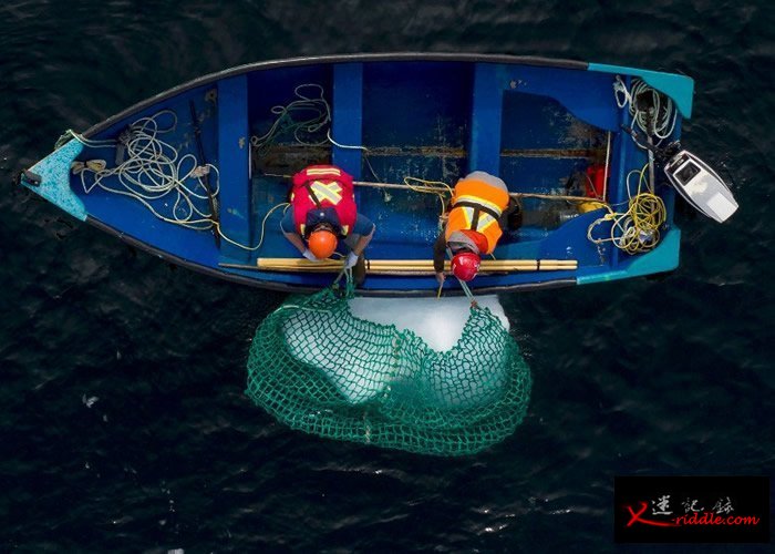 漂浮的冰山碎块危及船只安全。