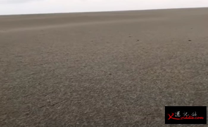 浮岛面积极大。