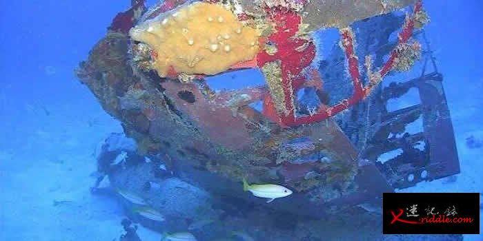“Project Recover”在密克罗尼西亚楚克群岛泻湖寻获3架二战失踪美军轰炸机残骸