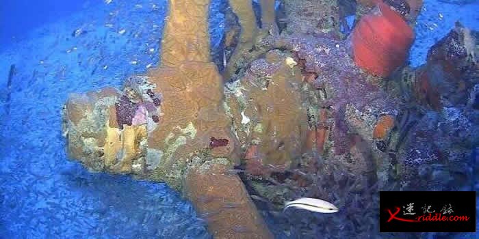 “Project Recover”在密克罗尼西亚楚克群岛泻湖寻获3架二战失踪美军轰炸机残骸