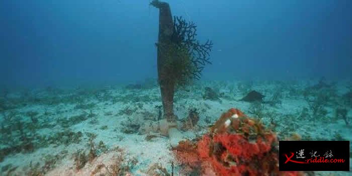 “Project Recover”在密克罗尼西亚楚克群岛泻湖寻获3架二战失踪美军轰炸机残骸