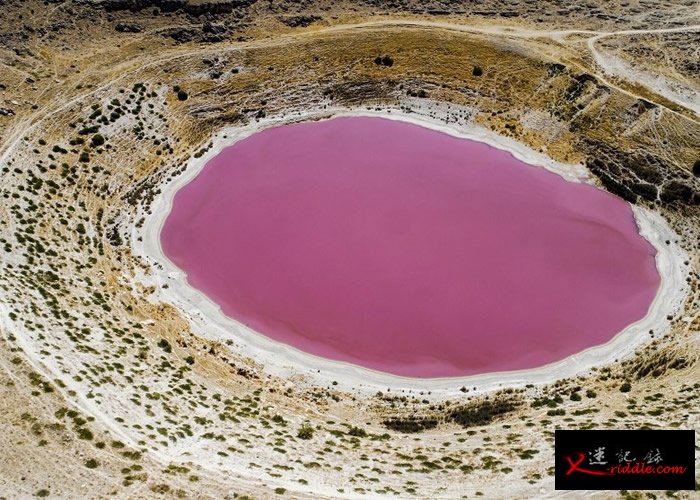 土耳其科尼亚的梅尔奥布鲁克湖（Meyil Obruk Lake）变成粉红色