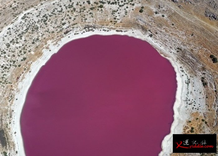 土耳其科尼亚的梅尔奥布鲁克湖（Meyil Obruk Lake）变成粉红色